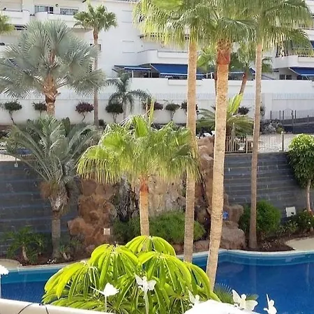 Appartement Apartamento La Graciosa Los Cristianos Los Cristianos (Tenerife)